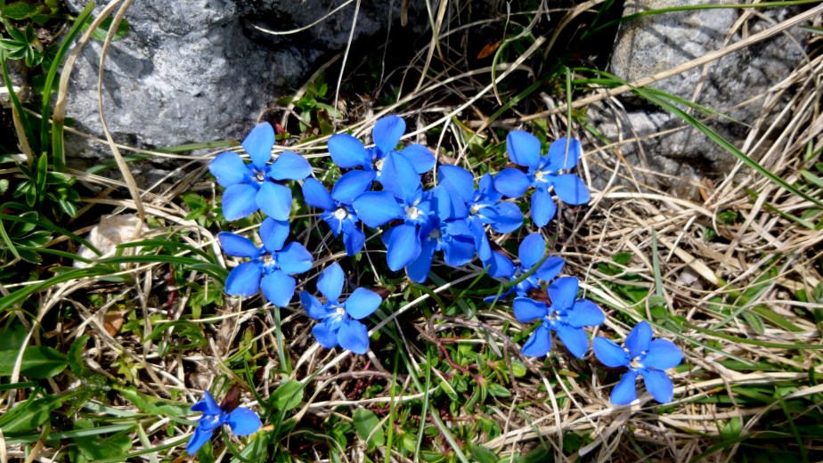 30