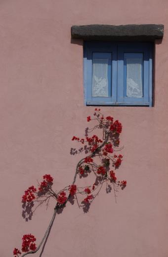 28
